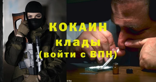 сатива Бронницы