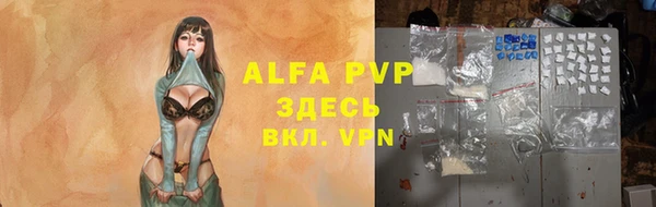 сатива Бронницы