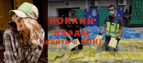 сатива Бронницы
