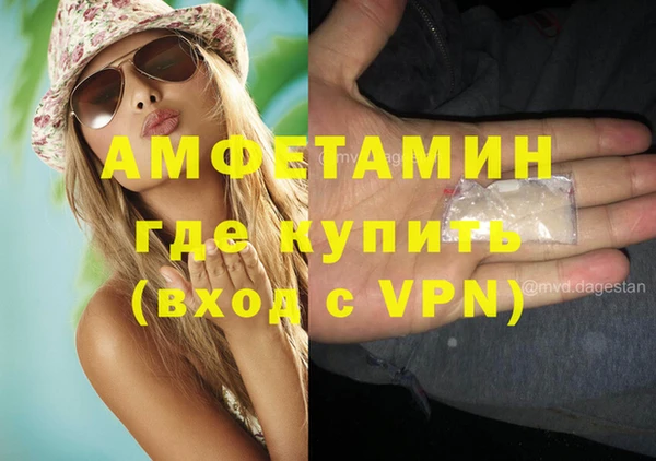 сатива Бронницы
