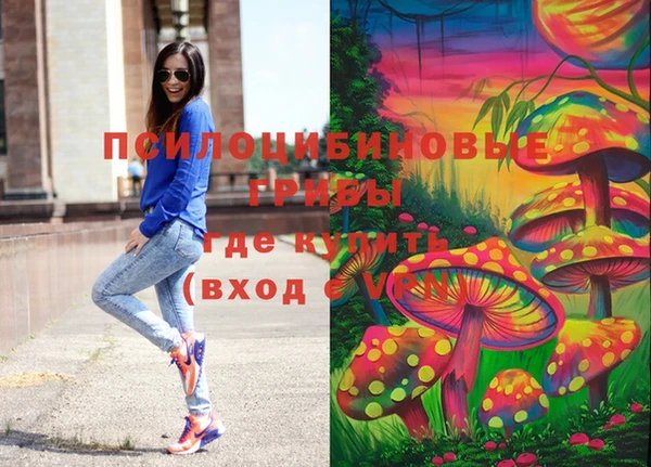 сатива Бронницы