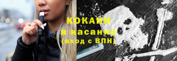 сатива Бронницы