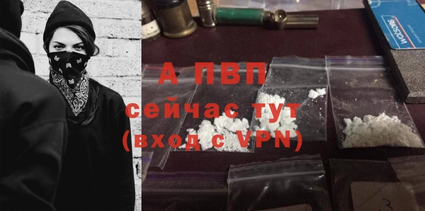 сатива Бронницы