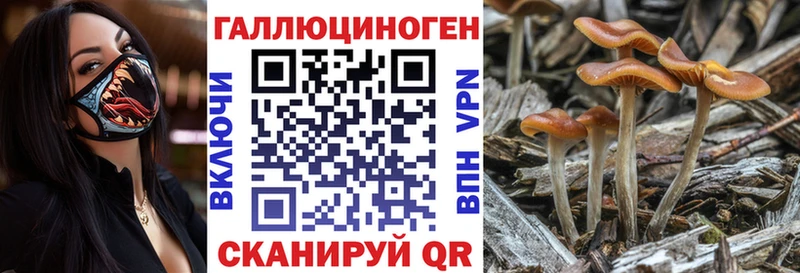 Купить где  Артёмовский  Галлюциногенные грибы мухоморы 