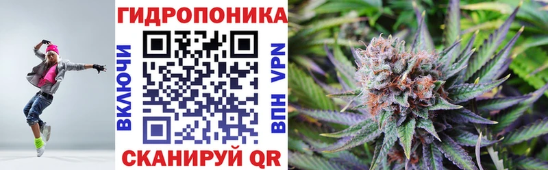 Конопля White Widow  Купить где  Артёмовский 